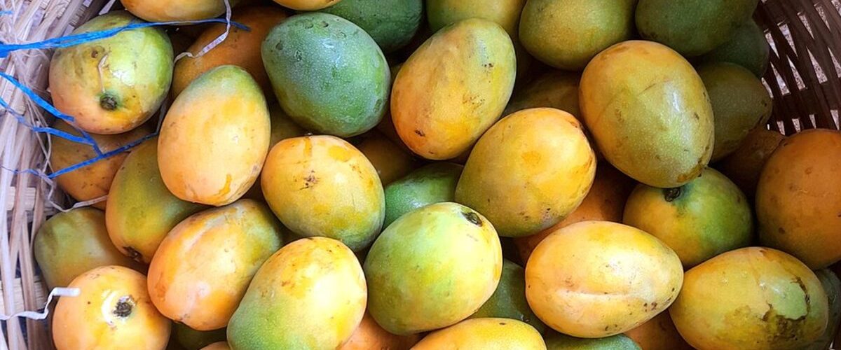 Mangoes