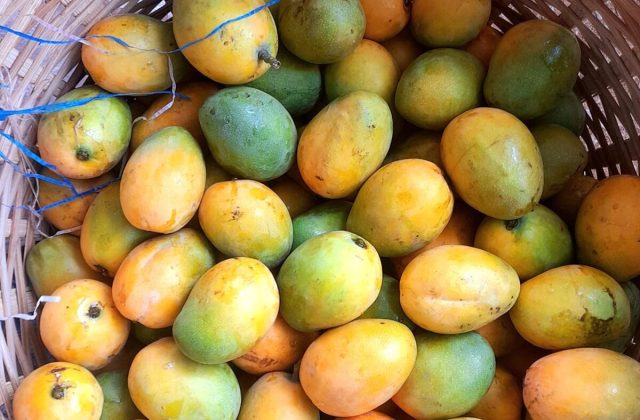 Mangoes