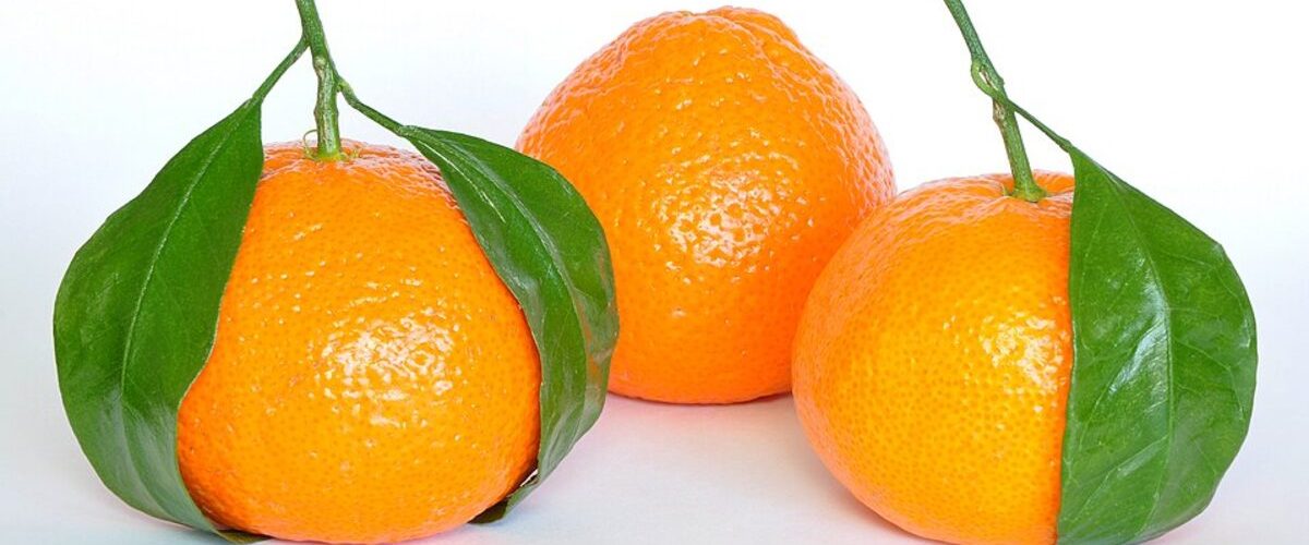 Citrus (Kinoo)