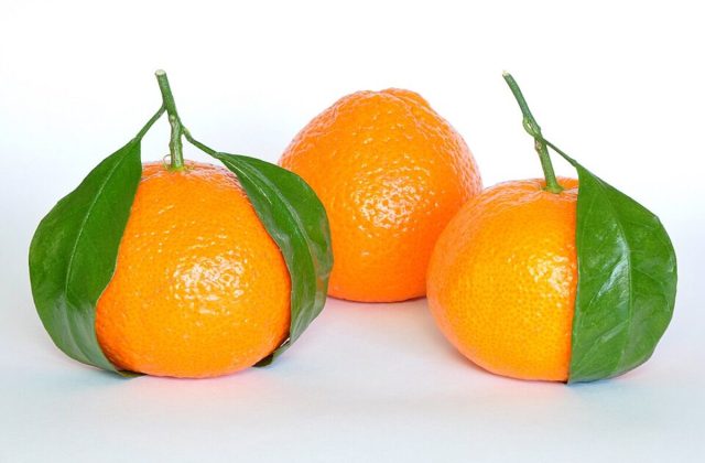 Citrus (Kinoo)