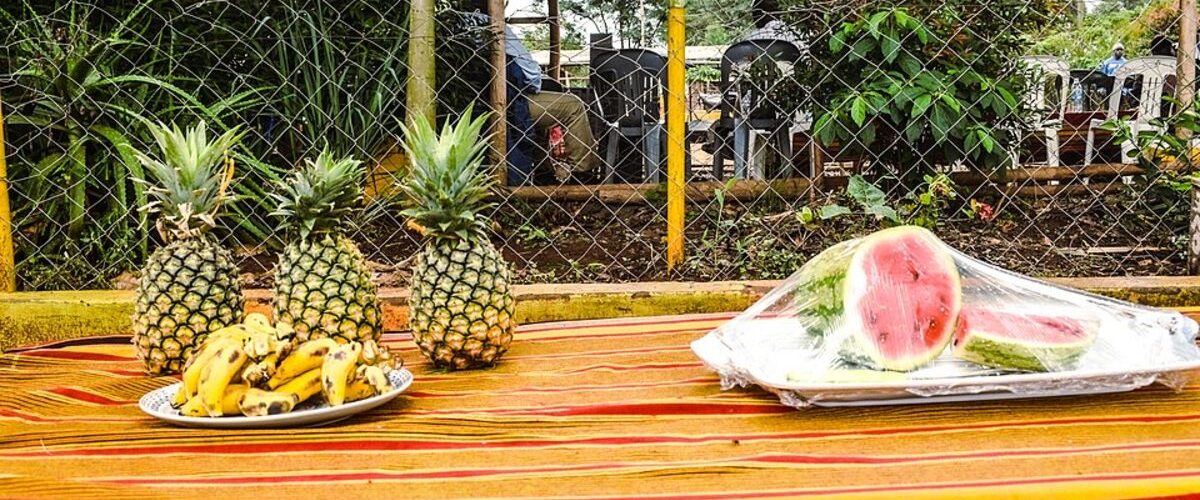 Tropical Fruits
