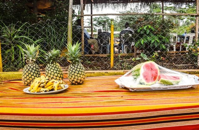 Tropical Fruits