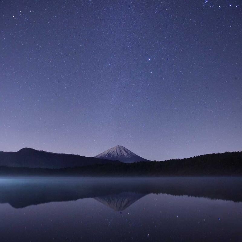 Aseel Dates - Image 4