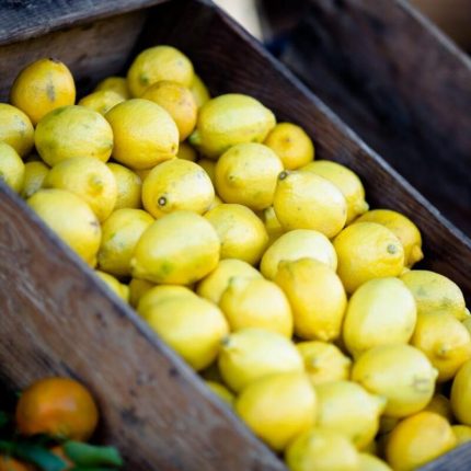 Galgal (Rough Lemon)
