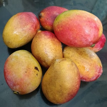 Multani Dusheri Mango