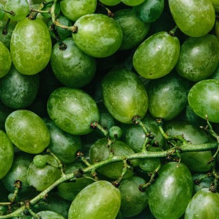 Thompson Seedless Grapes