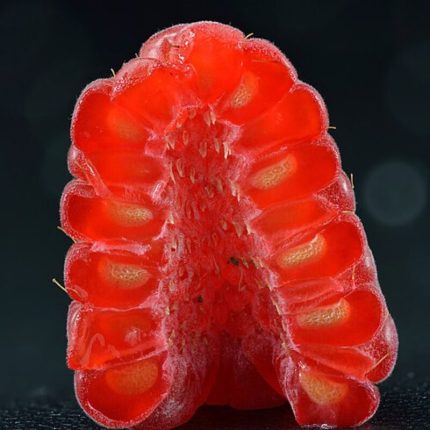 Raspberry