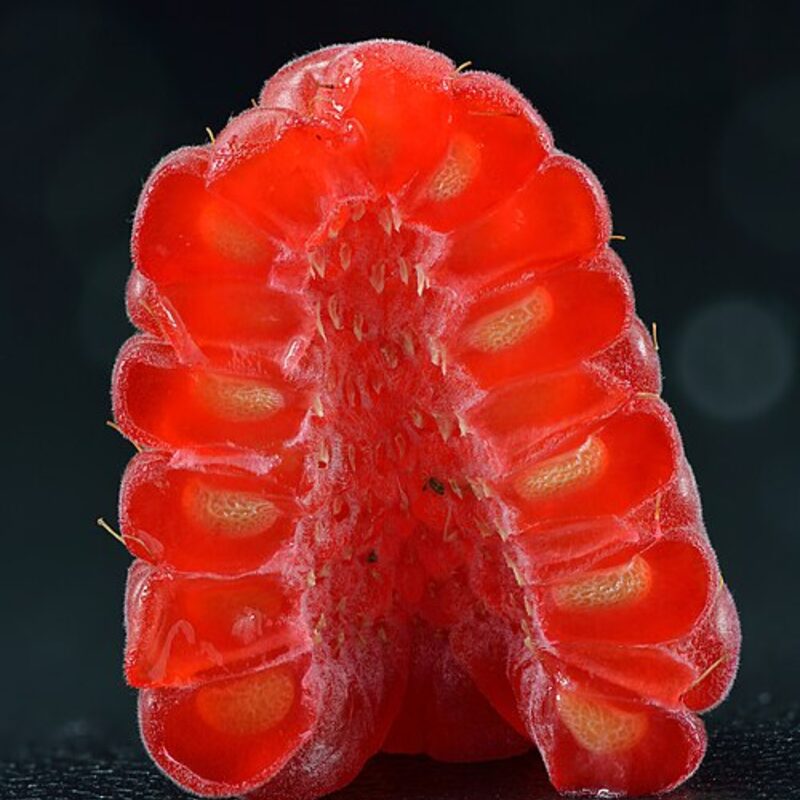 Raspberry