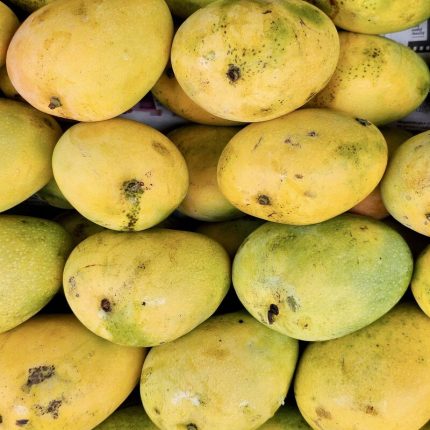 Multani Sindhri Mango