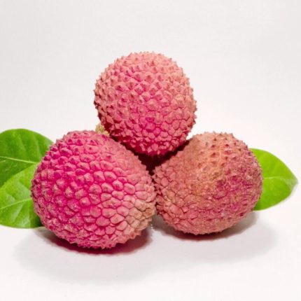 Lychee