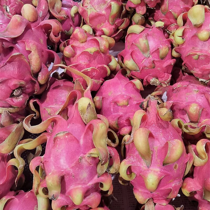 Dragon Fruit